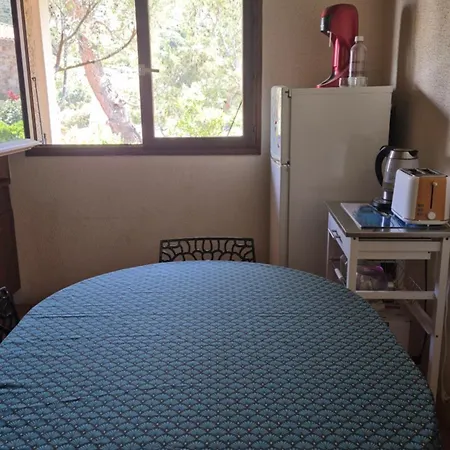 Giga Algajola Apartment *
